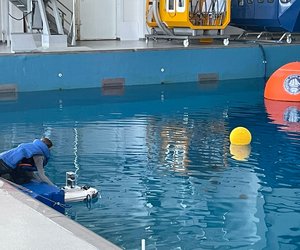 Изображение WhatsApp 2024-10-20 в 19.56.16_956c6008.jpg