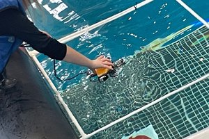 Изображение WhatsApp 2025-11-29 в 17.55.39_3f1386c4