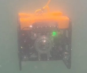 Снимок экрана 2025-05-24 213218.jpg