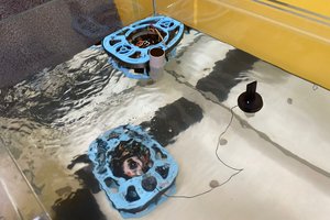 WhatsApp Image 2022-09-05 at 17.13.20.jpeg